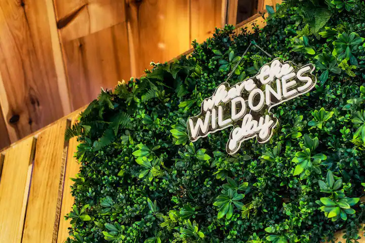 Boxwood wall — Where the Wild Ones Play